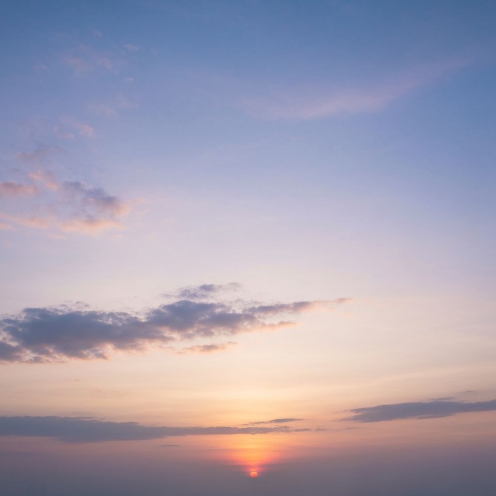 Sleep support complex